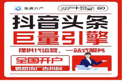 某行业领军企业的SEM广告投放策略